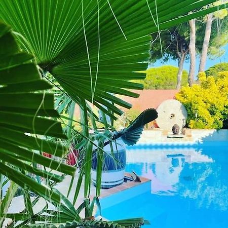 Hebergement Insolite Studio Grau Du Roi Mas Des Marines Piscine Le Grau-du-Roi Luaran gambar